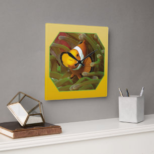 Clownfish in green anemone. Photographic Design Square Wall Clock
