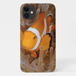 Clownfish - Molokai, North Shore Cliff iPhone 11 Case