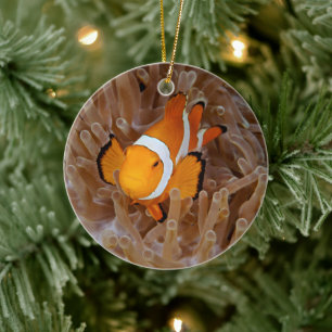 Clownfish - Molokai, North Shore Cliff Ceramic Ornament