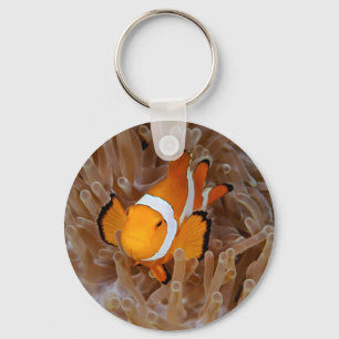 Clownfish - Molokai, North Shore Cliff Keychain