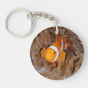 Clownfish - Molokai, North Shore Cliff Keychain