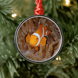 Clownfish - Molokai, North Shore Cliff Metal Ornament