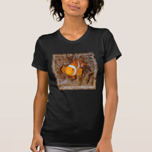 Clownfish - Molokai, North Shore Cliff T-Shirt