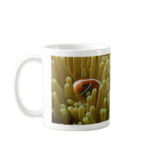 Clownfish on the Great Barrier Reef Coffee Mug