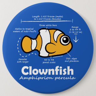 Clownfish Statistics 6 Inch Round Button