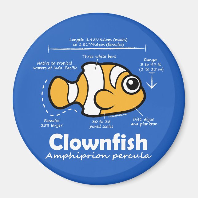 Clownfish Statistics Magnet (Front)