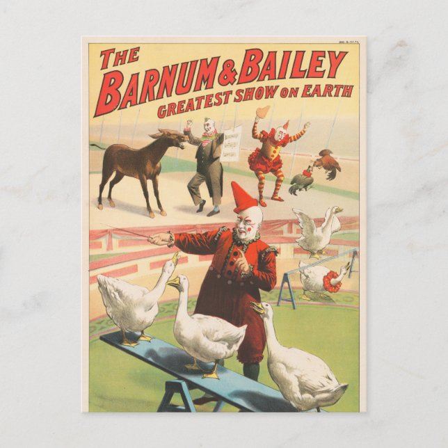Clowns With Performing Geese, Roosters, & Donkey. Postcard (Front)
