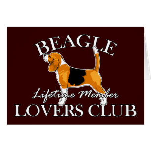 Club des amoureux beagles