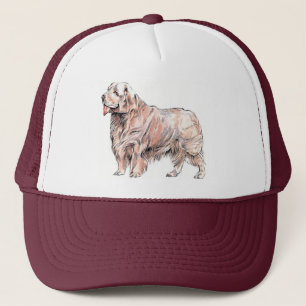 Clumber le Casquette espagnol