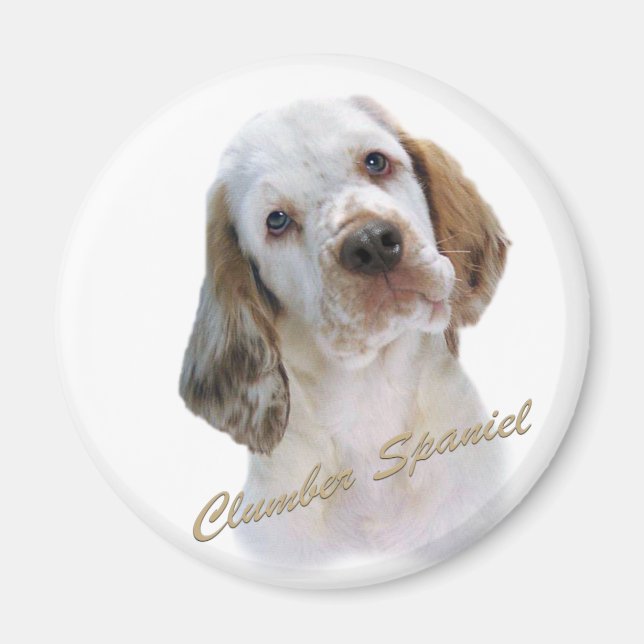 Clumber Spaniel  Magnet (Front)