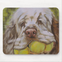 Clumber Spaniel