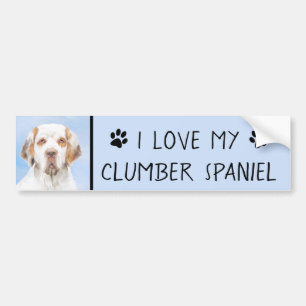 Clumber Spaniel Painting - Cute Original Dog Art Bumper Sticker