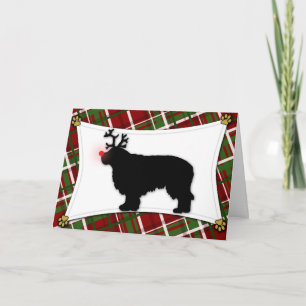 Clumber Spaniel Reindeer Christmas Card