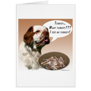 Clumber Spaniel Turkey