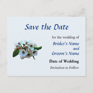 Cluster of Apple Blossoms Save the Date Announcement Postcard