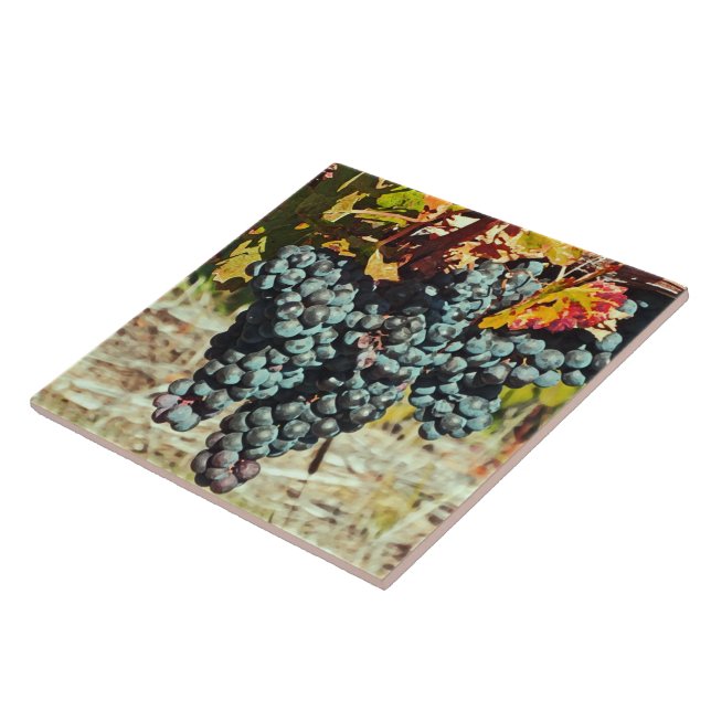 "CLUSTER OF GRAPES DANGLING FROM VINE" CERAMIC TIL TILE (Side)
