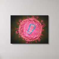 Cluster Of HIV Virus 2