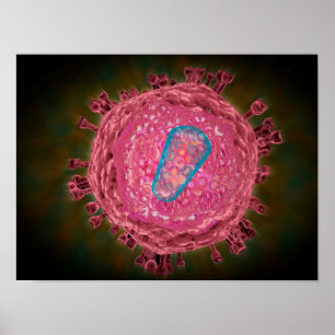 Cluster Of HIV Virus 2 Poster