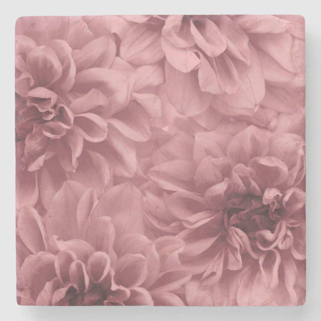 Cluster of Light Mauve Dahlia Flowers Stone Coaster (Front)