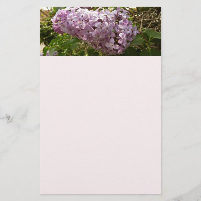Cluster of Lilac Blossoms Spring Floral Stationery (Front)