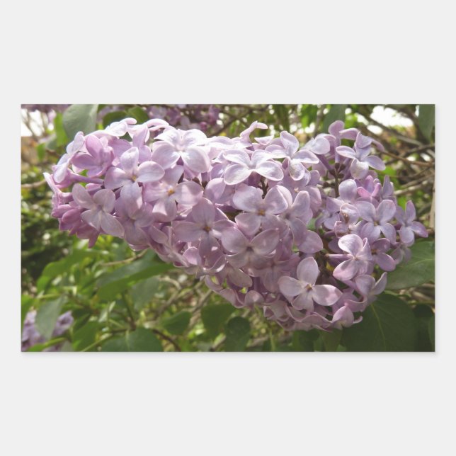 Cluster of Lilac Blossoms Spring Floral Sticker (Front)