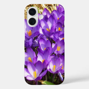 Cluster of Purple Crocuses Spring Floral iPhone 16 Case