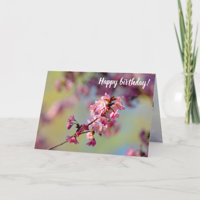 Cluster Of Sakura Blossoms On Green, Blue, Purple Card (Front)