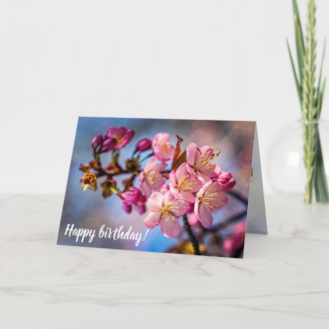 Cluster Of Sakura Cherry Blossoms In The Wind Card (Front)