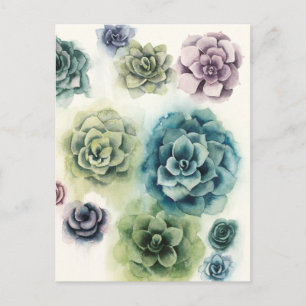 Cluster of Succulents Postcard
