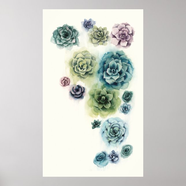 Cluster of Succulents Poster (Front)