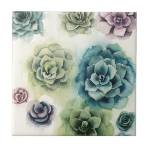 Cluster of Succulents Tile