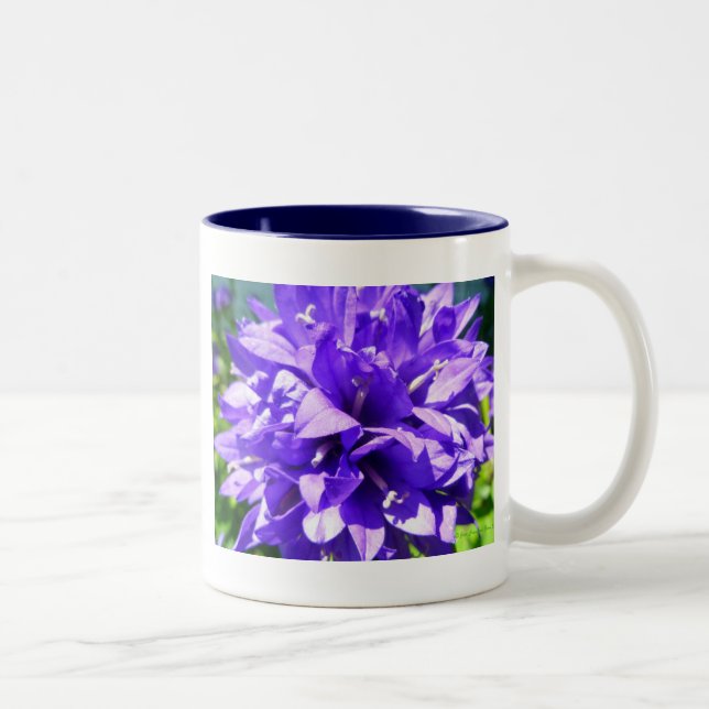 Clustered Bellflower (Campanula glomerata Superba) Two-Tone Coffee Mug (Right)