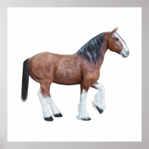 Clydesdale 3 poster