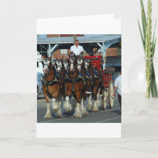Clydesdale 6 horse hitch card
