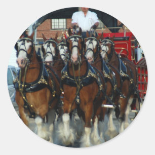 Clydesdale 6 horse hitch classic round sticker