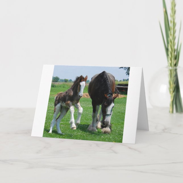 clydesdale and filly card (Front)
