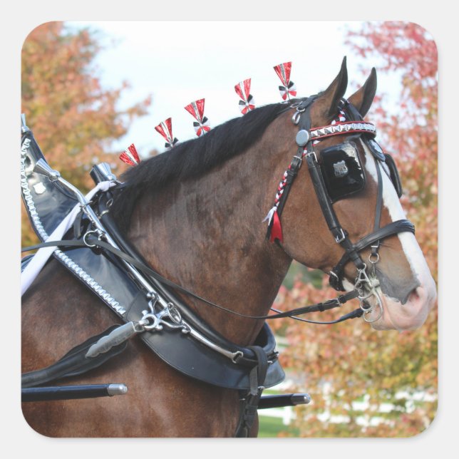 Clydesdale autocollant (Devant)