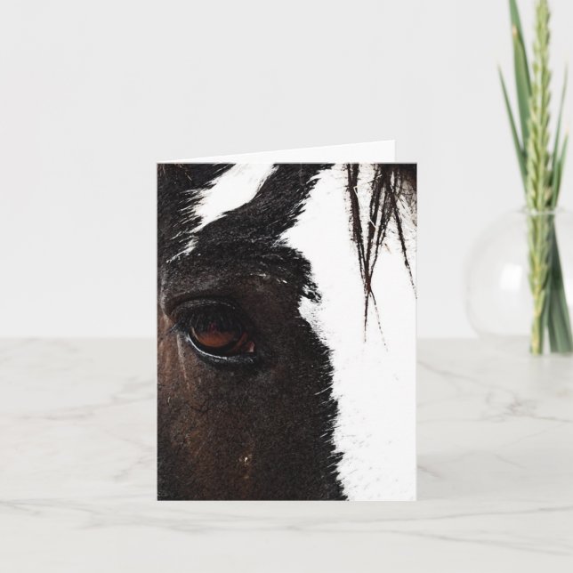 Clydesdale Card (Front)