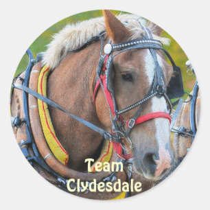 Clydesdale Draught Horse Equine Art Sticker