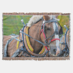 Clydesdale Draught Horse Equine Photo Gift Throw Blanket