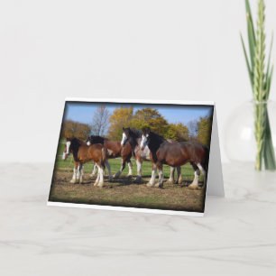clydesdale group card