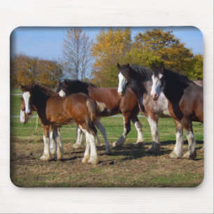 clydesdale group mouse pad