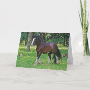 Clydesdale Horse Card