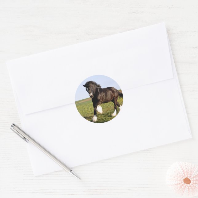 Clydesdale Horse Classic Round Sticker (Envelope)