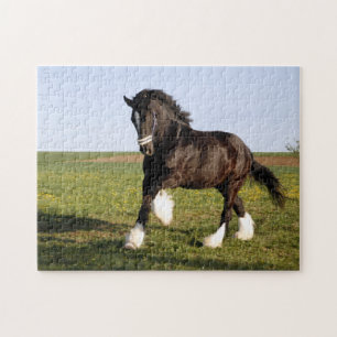 Clydesdale Horse Jigsaw Puzzle