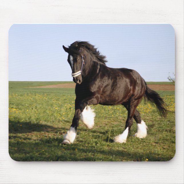 Clydesdale Horse  Mouse Pad (Front)