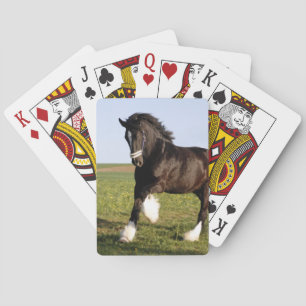 Clydesdale Horse Playing Cards