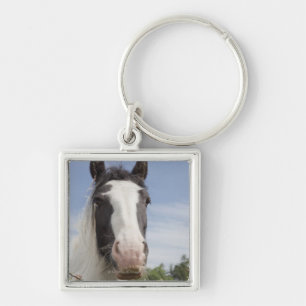 Clydesdale horse portrait keychain