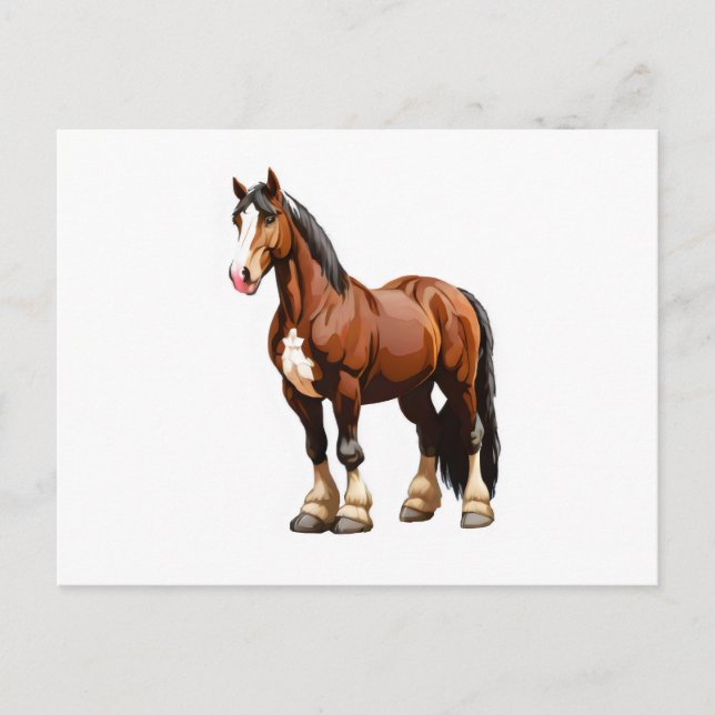 Clydesdale horse postcard (Front)