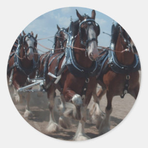 Clydesdale Horses Classic Round Sticker